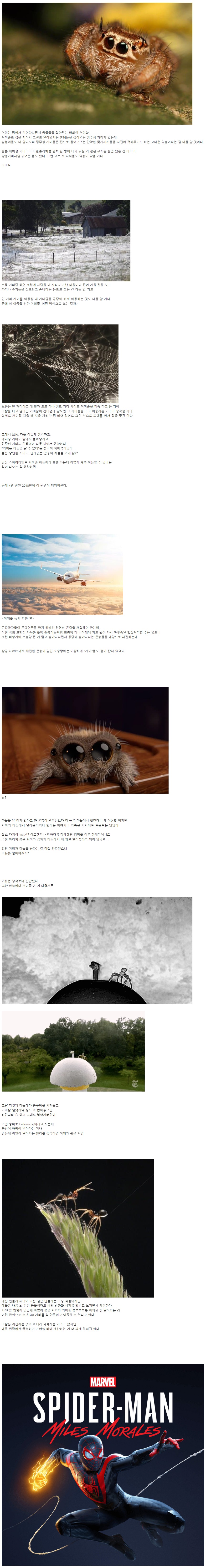 웹 캡처_3-12-2022_94223_gall.dcinside.com.jpeg